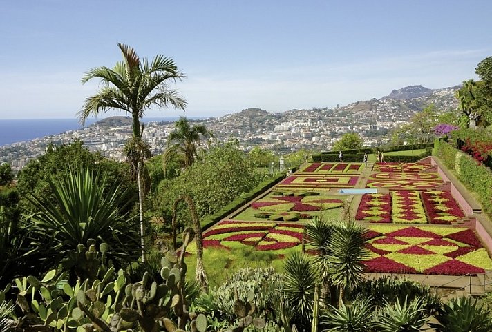 Rund um Madeira