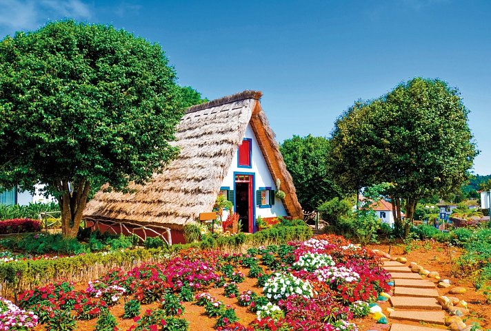 Madeira in Style – Eine Perle im Atlantik