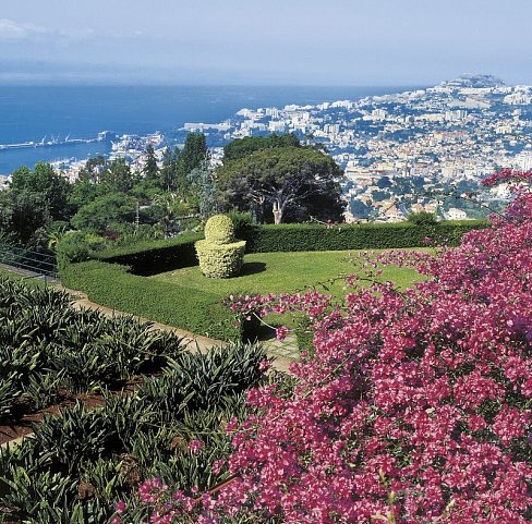 Madeira in Style – Eine Perle im Atlantik