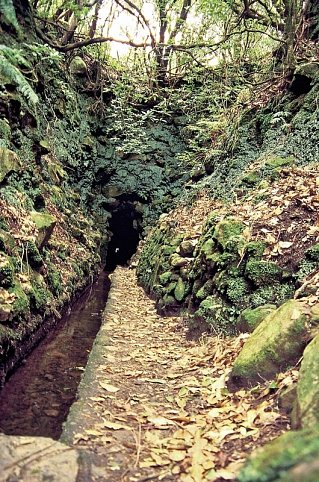 Madeira in Style – Eine Perle im Atlantik