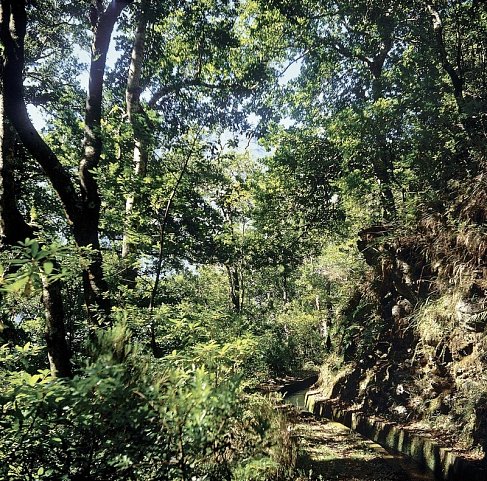 Madeira in Style – Eine Perle im Atlantik