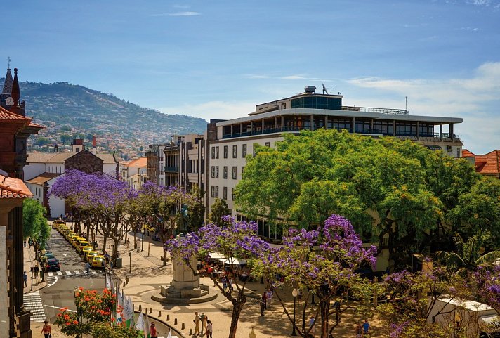 Madeira in Style – Eine Perle im Atlantik