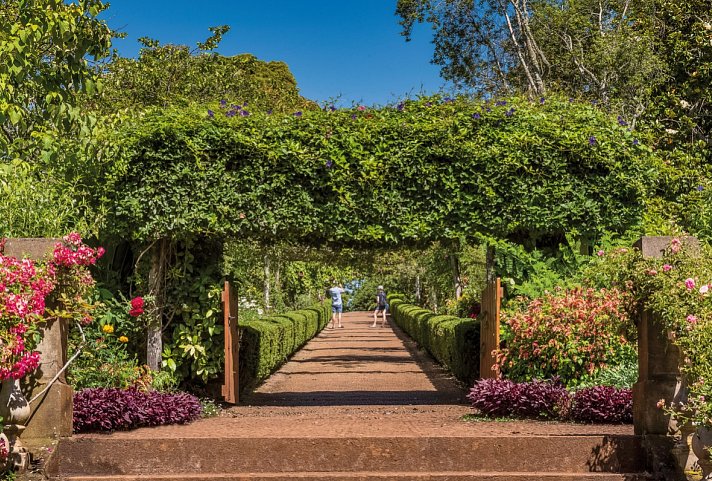 Madeira in Style – Eine Perle im Atlantik