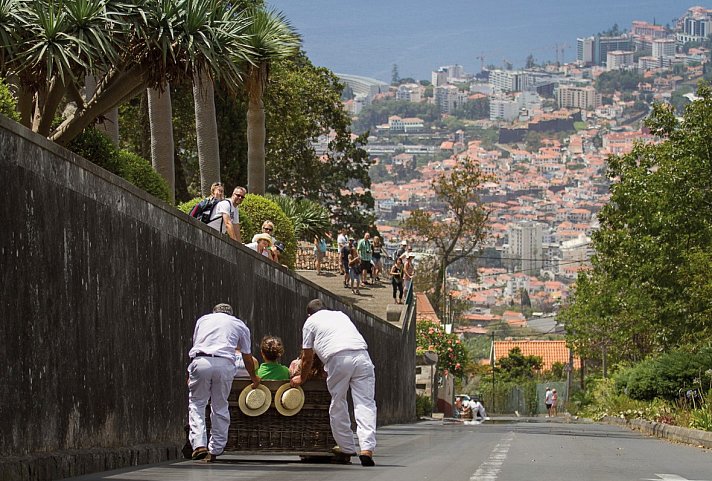 Madeira in Style – Eine Perle im Atlantik