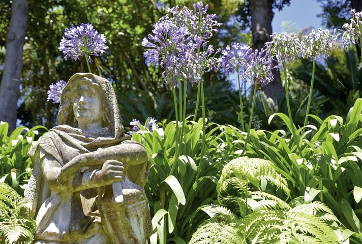 Madeira in Style – Eine Perle im Atlantik