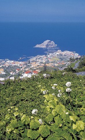 Madeira in Style – Eine Perle im Atlantik