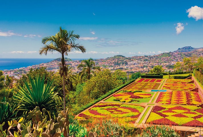 Madeira in Style – Eine Perle im Atlantik