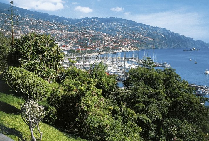 Madeira in Style – Eine Perle im Atlantik