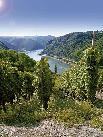 Lahnradweg und Loreley