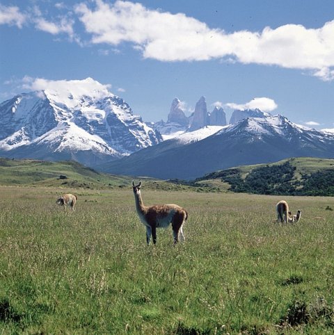 Erlebnis Patagonien (ab/bis El Calafate)