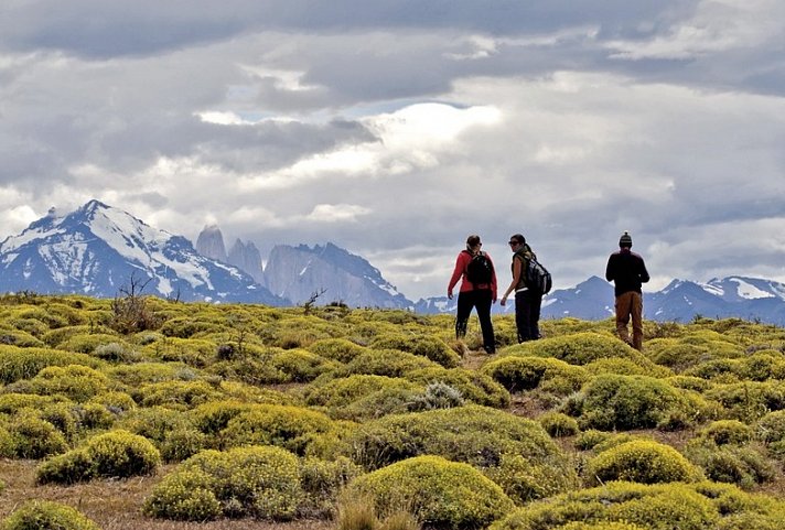 Erlebnis Patagonien (ab/bis El Calafate)