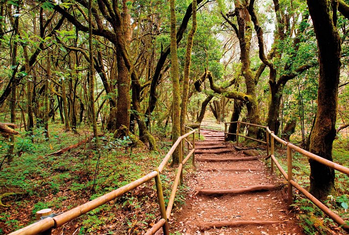 La Gomera individuell