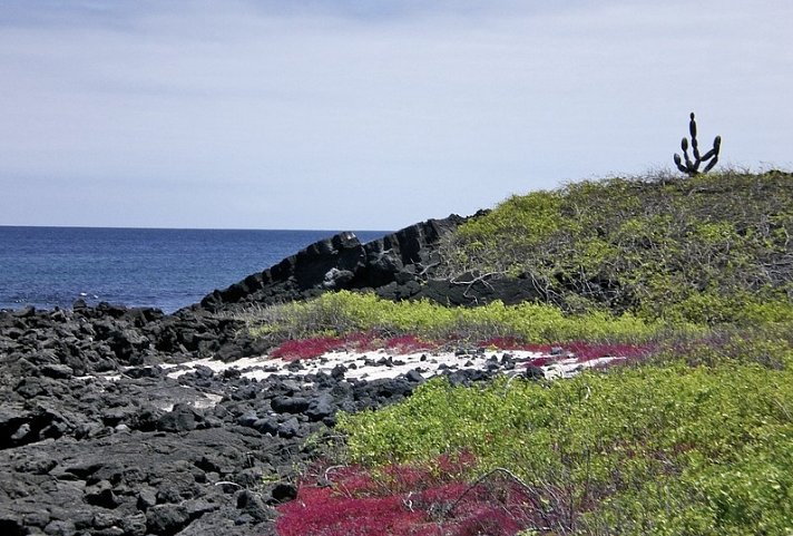 Galápagos Island Hopping