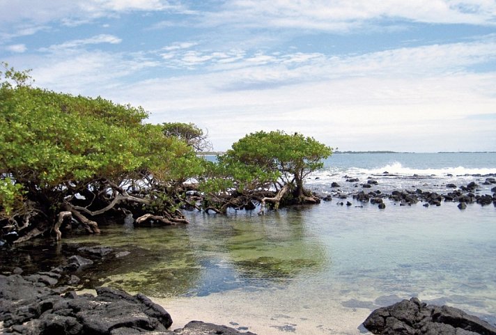 Galápagos Island Hopping