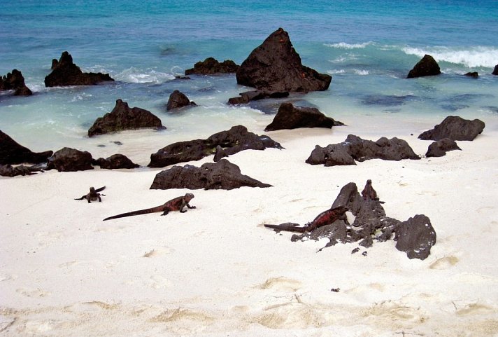 Galápagos Island Hopping