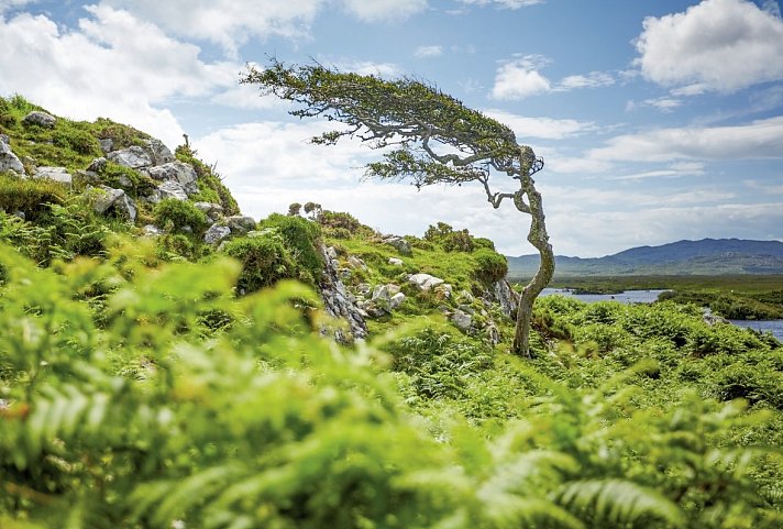 Höhepunkte rund um Galway