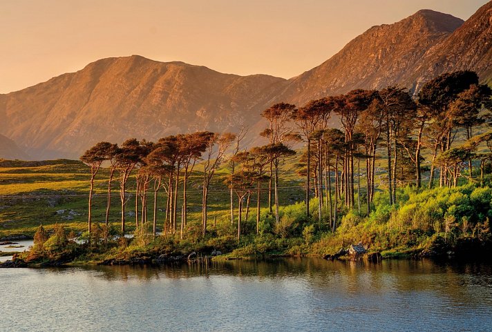 Höhepunkte rund um Galway