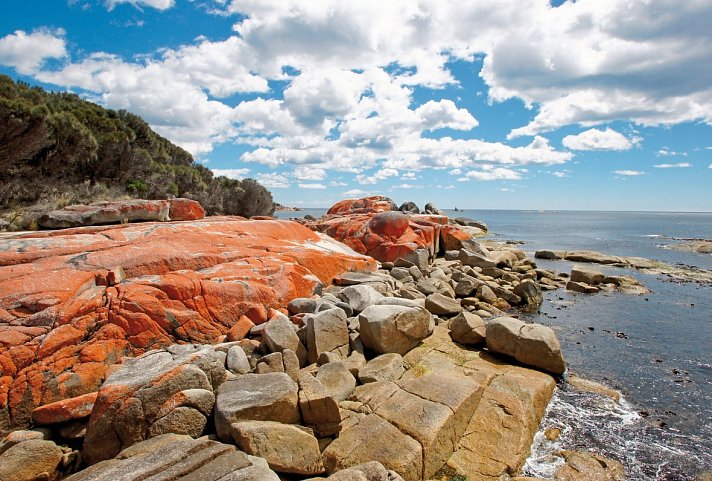 Tasmanien auf eigene Faust