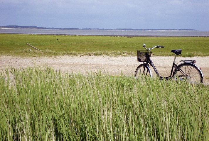 Romantisch Radeln Nordfriesische Inseln
