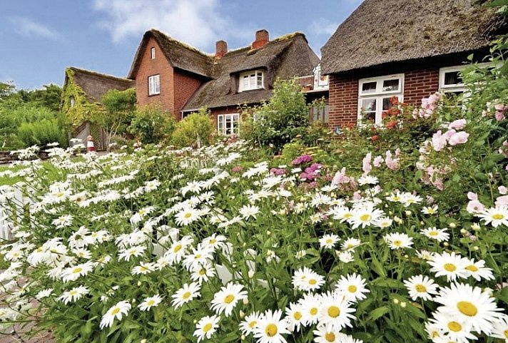 Romantisch Radeln Nordfriesische Inseln
