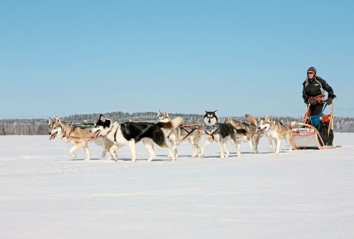 Winterabenteuer in Vuokatti