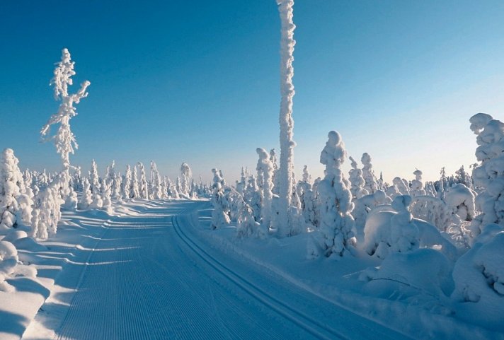 Winterabenteuer in Vuokatti