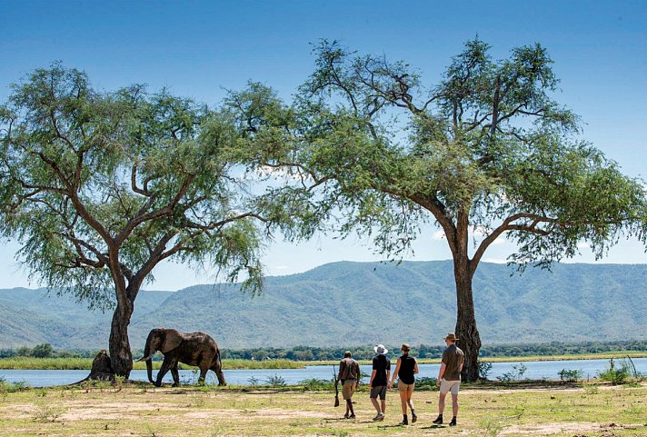 Simbabwe und Sambia für Genießer