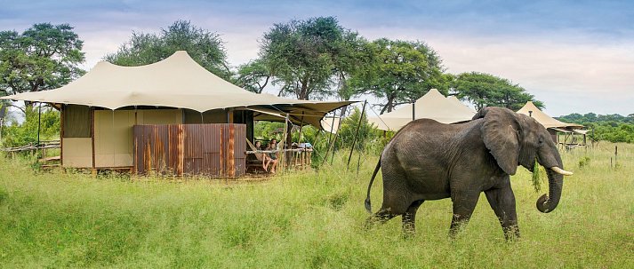 Simbabwe und Sambia für Genießer