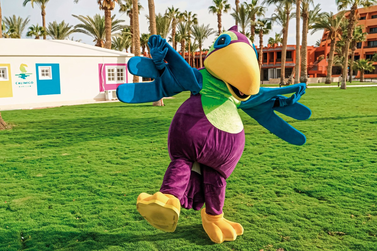 Calimera Blend Paradise