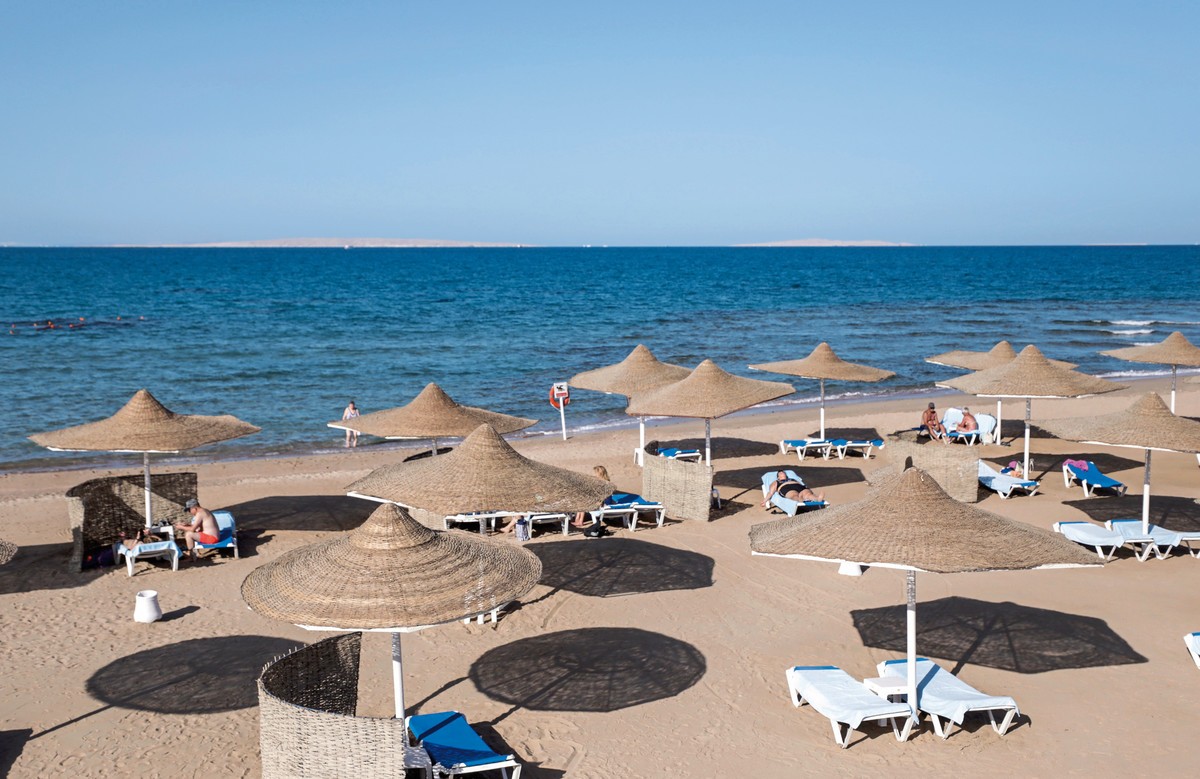 Calimera Blend Paradise