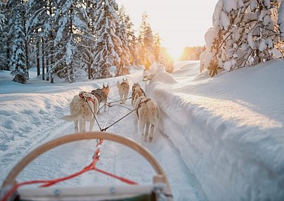 Wintertraum am Inarisee 5 Nächte Ivalo