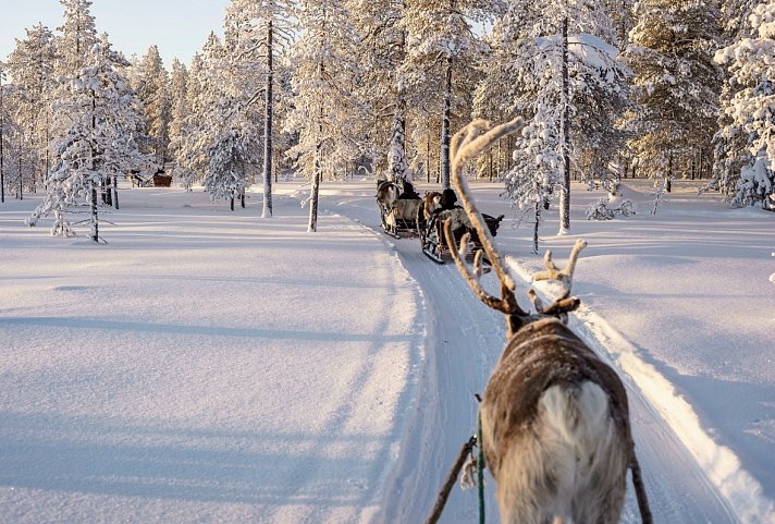 Lappland Deluxe - 4 Nächte