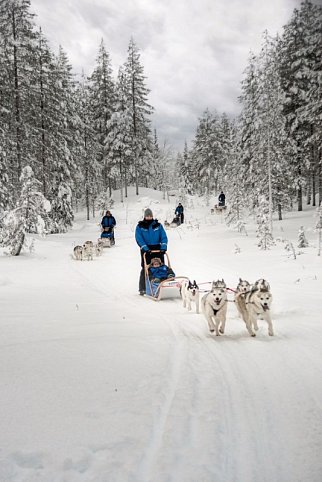 Lappland Deluxe - 4 Nächte