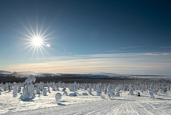 Wintererlebnis Saariselkä