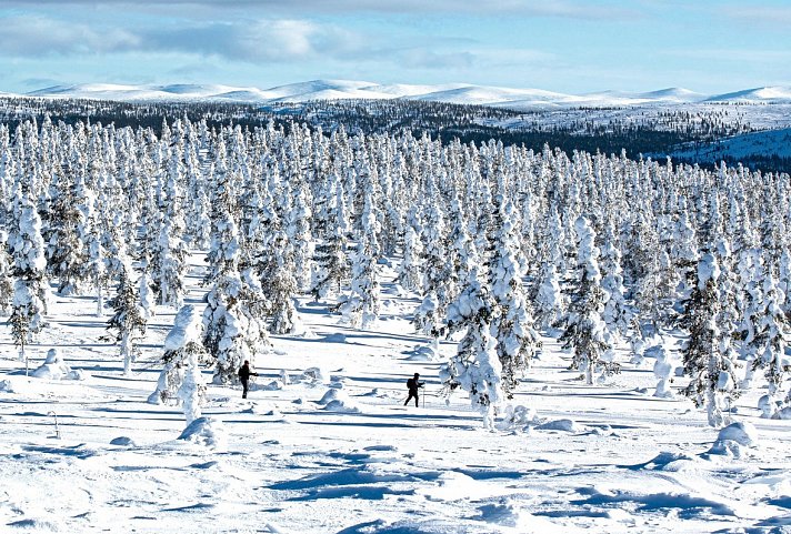 Wintererlebnis Saariselkä