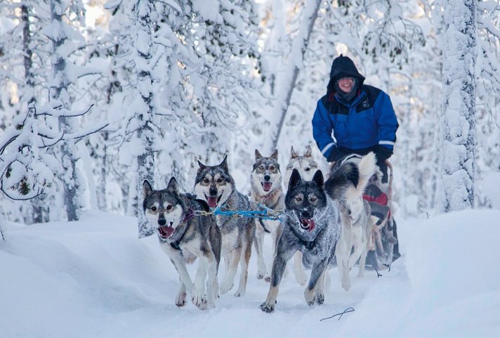 Wildnis unter dem Polarlicht - Inari