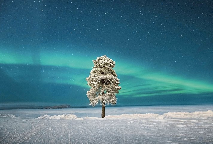 Wildnis unter dem Polarlicht - Inari