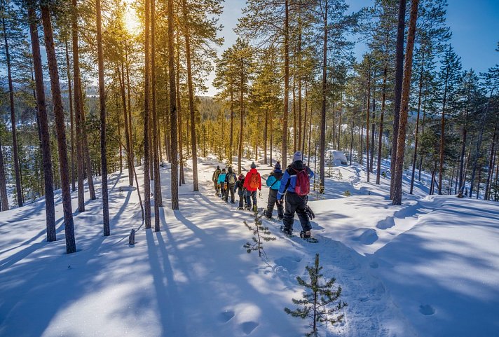 Wildnis unter dem Polarlicht - Inari