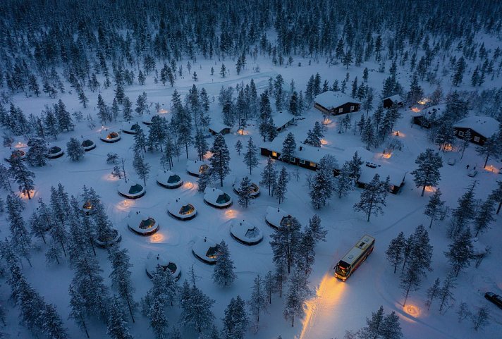 Wildnis unter dem Polarlicht - Muotka