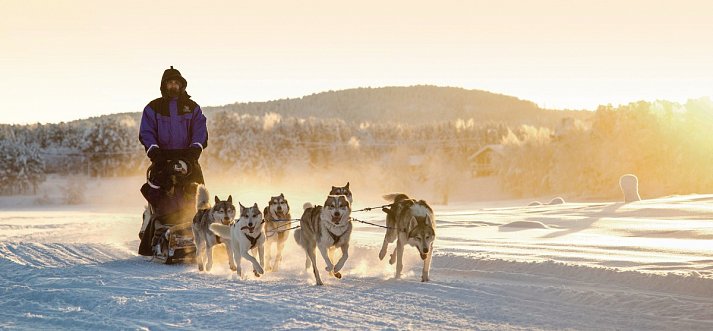Wildnis unter dem Polarlicht - Muotka