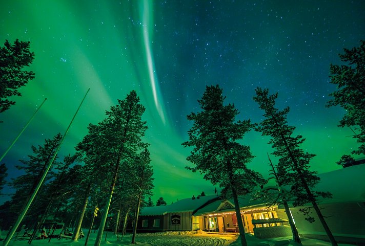 Wildnis unter dem Polarlicht - Muotka