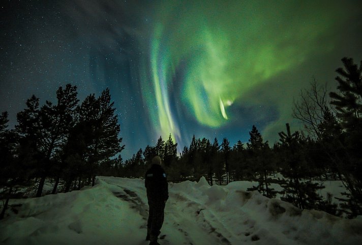 Wildnis unter dem Polarlicht - Nellim