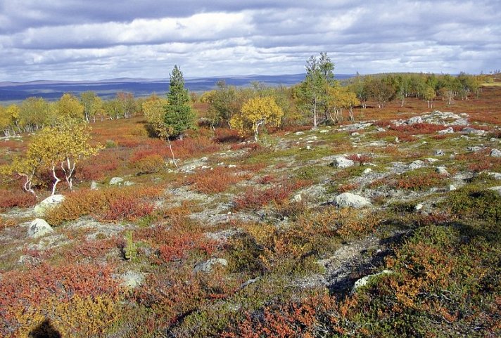 Finnische Naturerlebnisse