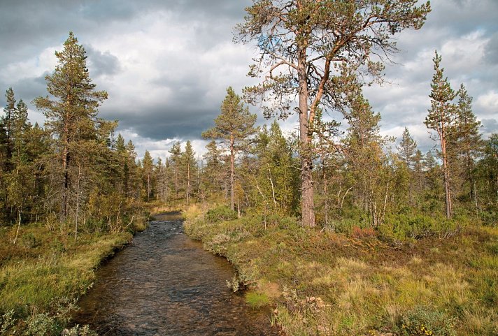 Finnische Naturerlebnisse