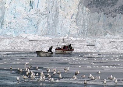 Faszinierende Welt der Eisberge Nuuk