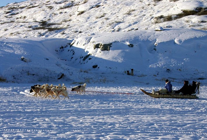 Faszinierende Welt der Eisberge