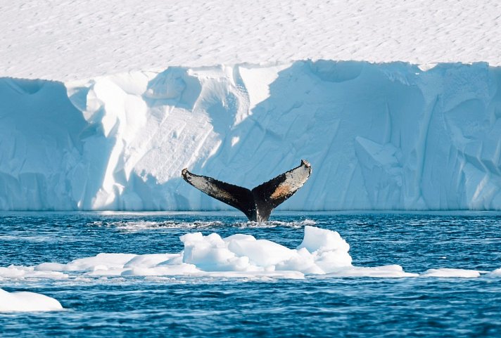 Abenteuer Eisfjord