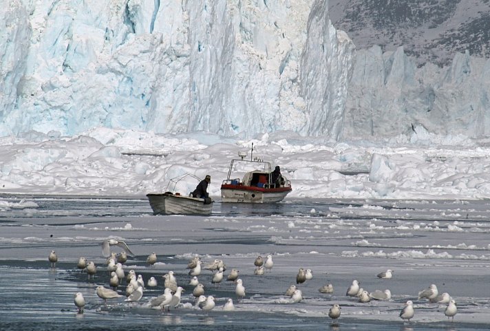 Abenteuer Eisfjord