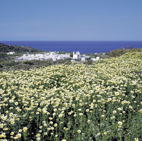 Kykladen Island-Hopping ab Mykonos/bis Santorin