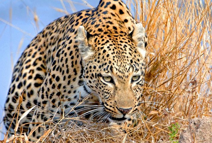 Stippvisite Südafrika - Privatreise